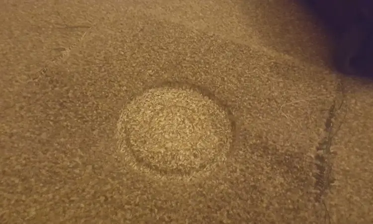 Carpet imprint left by X Pole XPert - one of the concerns with portable dance poles and renting