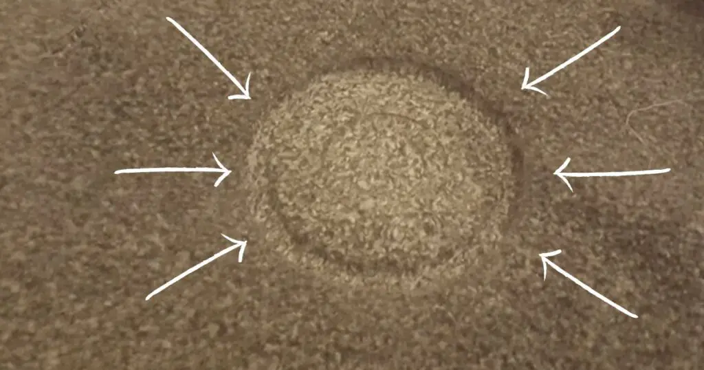 Can you install a dance pole on carpet - carpet imprint left by x pole