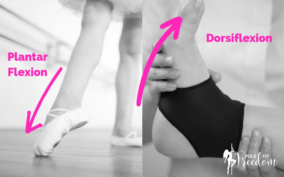 How to Stop Foot Cramp When Pointing Your Toes: Plantar Flexion vs Dorsiflexion